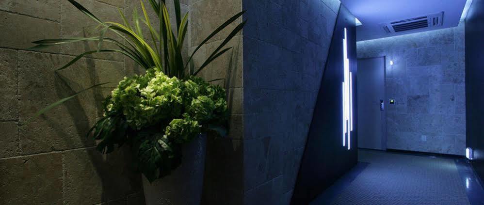 Antives Hotel Goyang Bagian luar foto